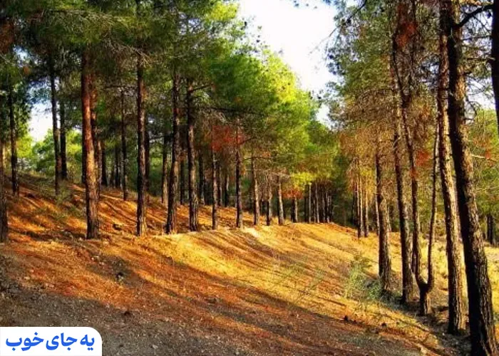 بوستان های تهران